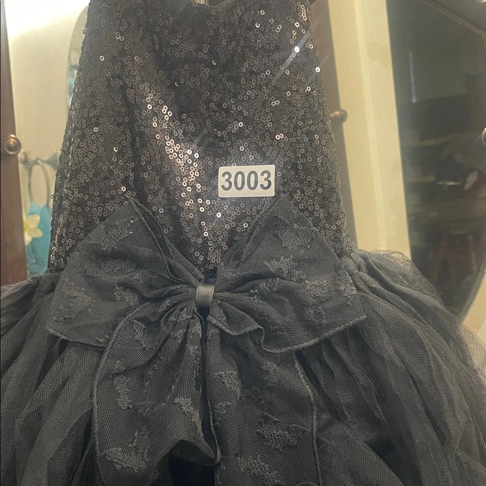 Blk swan girls costume